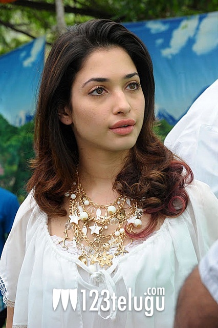 Happy Birthday Tamanna 123telugu Com