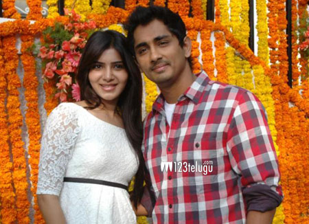 Samantha's cameo appearance for Siddharth film | 123telugu.com