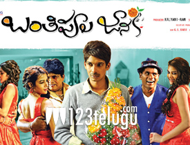 Banthi Poola Janaki Review