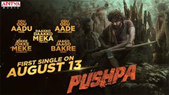 Pushpa's first single to be out on this date | 123telugu.com