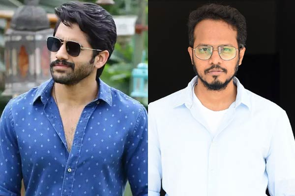 Chay Akkineni to do a film with hit director | 123telugu.com