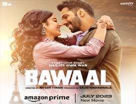 Bawaal Telugu Movie Review