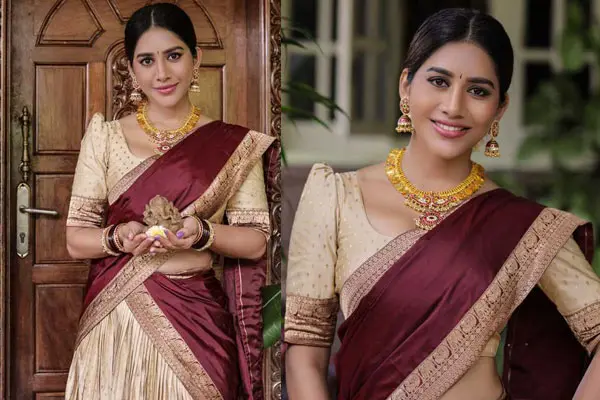 Photos : Glamorous Nabha Natesh