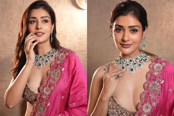 New Photos : Payal Rajput