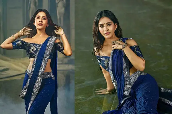 Glamorous Pics : Nabha Natesh