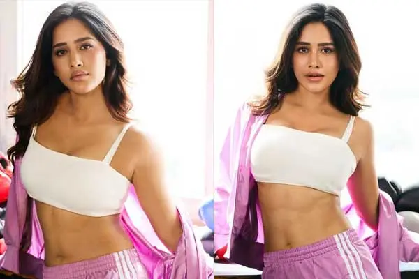 Photos : Stunning Nabha Natesh