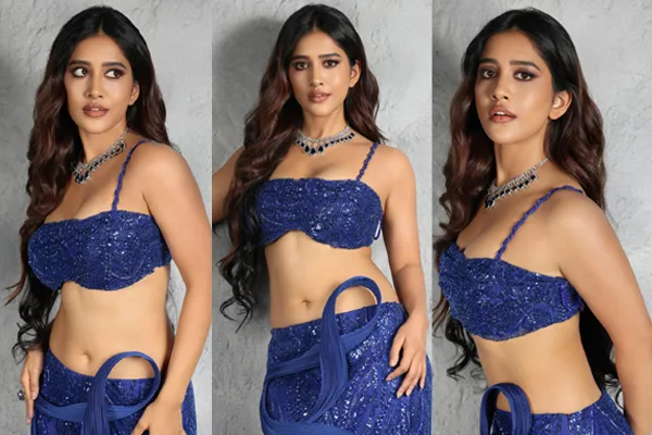 Glamorous Pics : Nabha Natesh