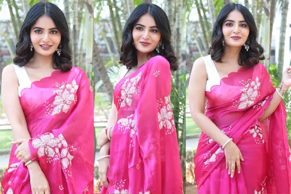 Photos : Amazing Ananya Nagalla