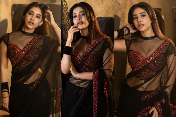 Photos : Stunning Nabha Natesh