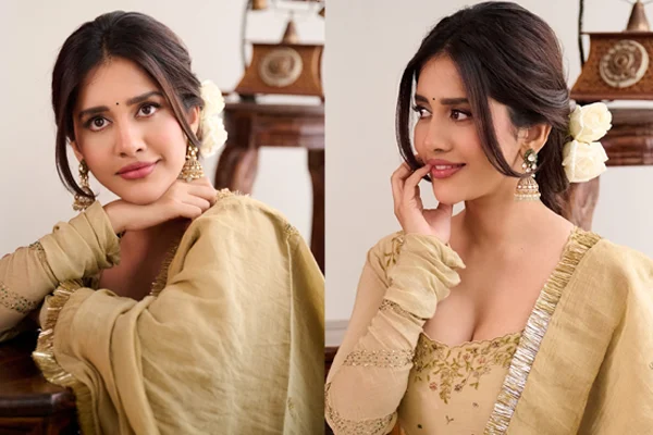 Photos : Lovely Nabha Natesh