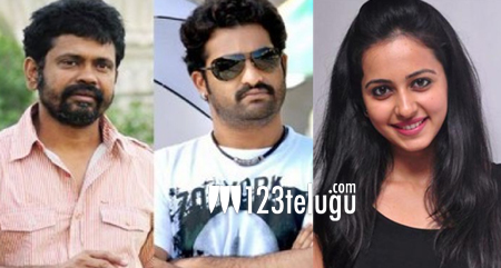 Rakul,-Sukumar,-ntr-Project