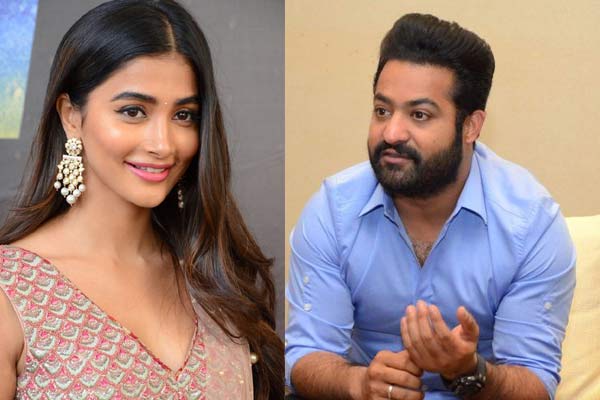 ఎన్టీఆర్ సినిమాలో హీరోయిన్ ఖరారు !
