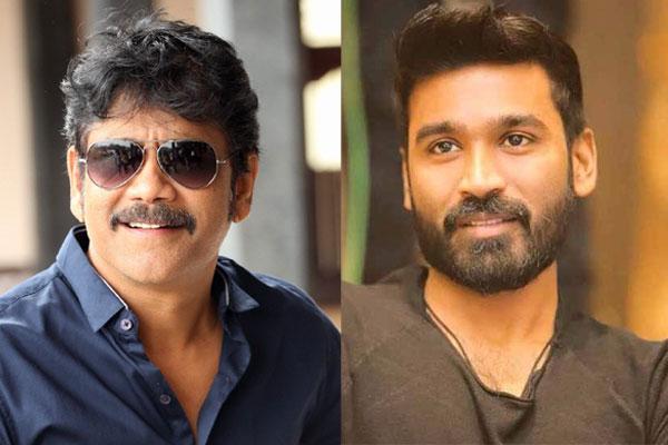 ధనుష్ దర్శకత్వంలో నాగార్జున ?