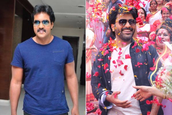 యువ హీరో సినిమాలో నటిస్తున్న సునీల్ !