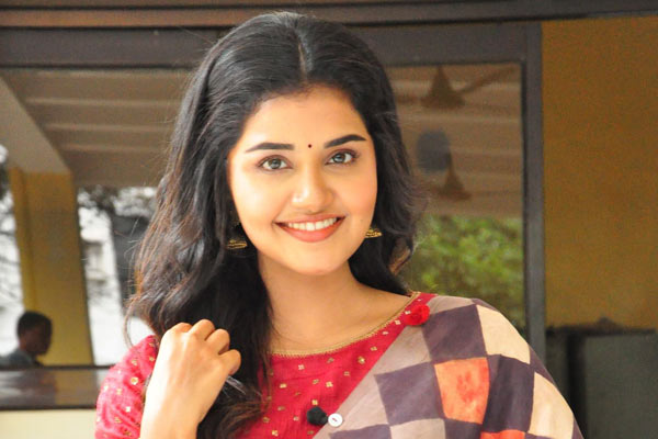 రాక్షసుడు అనుపమా కెరీర్ కు హెల్ప్ అయ్యేనా ?