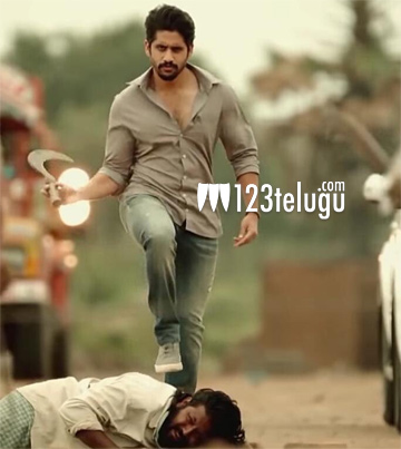 ‘శైలజారెడ్డి’ చైతు కెరీర్ లోనే హైయెస్ట్ గ్రాసర్ గా నిలిచింది !