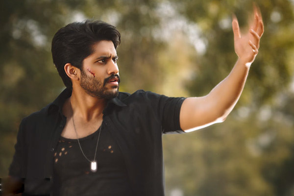 ‘సవ్యసాచి’ తో చైతు అనుకున్నది సాధిస్తాడా ?