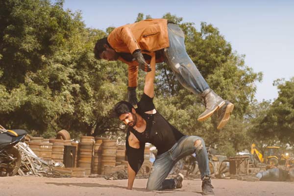 పోల్ : సవ్యసాచి టీజర్ ఎలా వుంది ?