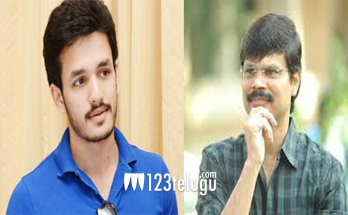 బోయపాటి తో అక్కినేని యువ హీరో !