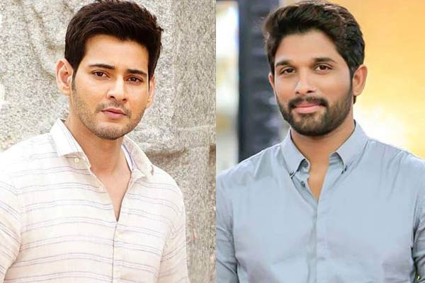 మహేష్,బన్నీలలో ఎవరిది బెటర్ జడ్జిమెంట్?