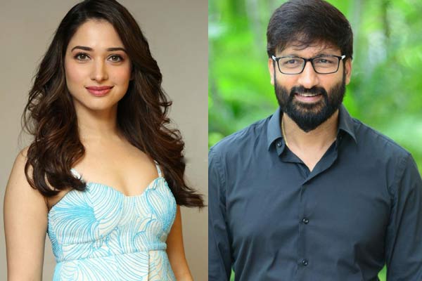 యాక్షన్ హీరో సరసన మిల్కీ బ్యూటీ