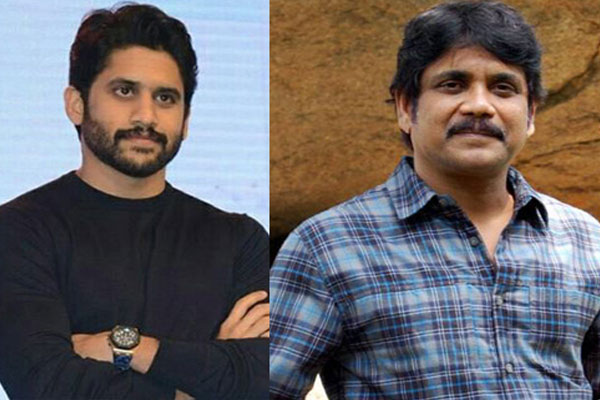 ‘బంగార్రాజు’ సాంగ్స్  మొదలెట్టేశాడు !