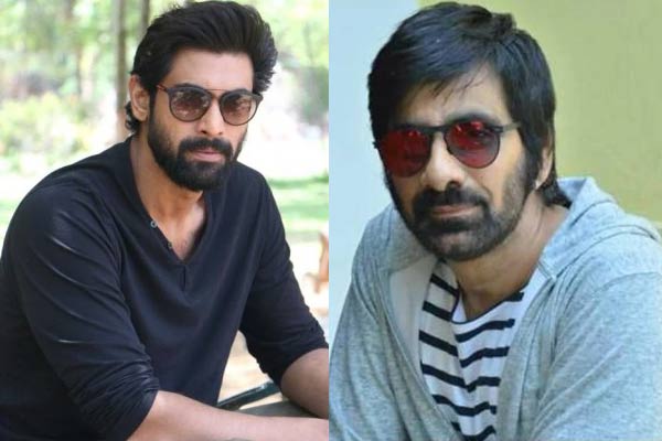 సూపర్ హిట్ రీమేక్  కోసం రానాతో  రవితేజ  రెడీ !