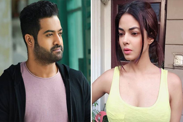 మీరా చోప్రా-ఎన్టీఆర్ ఫ్యాన్స్ కేసులో పురోగతి.