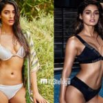 pooja-disha