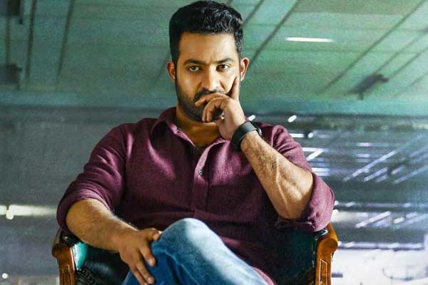 యంగ్ టైగర్ లైనప్ కూడా మాములుగా లేదుగా.!