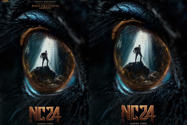 NC24 కోసం భారీ గుహ సెట్