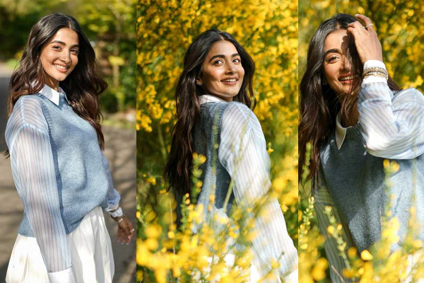 ఫోటోలు : పూజా హెగ్డే