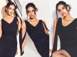 Meenakshi-Chaudhary