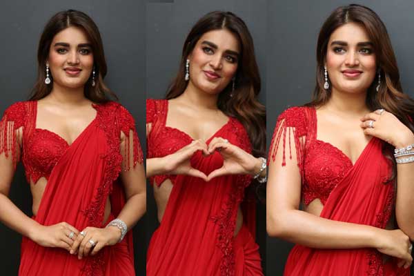 కొత్త ఫోటోలు : నిధి అగర్వాల్