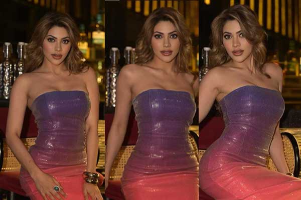 ఫోటోలు : నిక్కీ తంబోలి