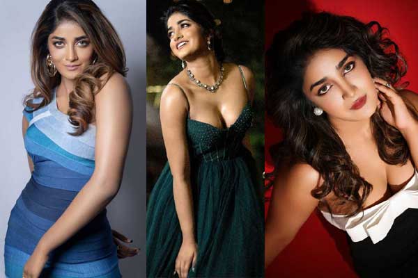 కలెక్షన్:  డింపుల్ హయాతి