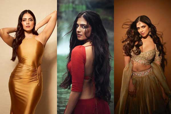 పుట్టినరోజు స్పెషల్: మాళవిక మోహనన్