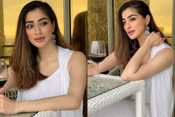 ఫోటోలు : రాయ్ లక్ష్మి