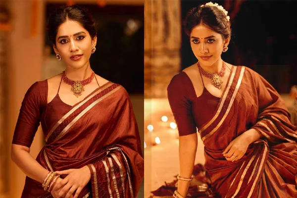 ఫోటోలు : గ్లామరస్ నభా నటేష్