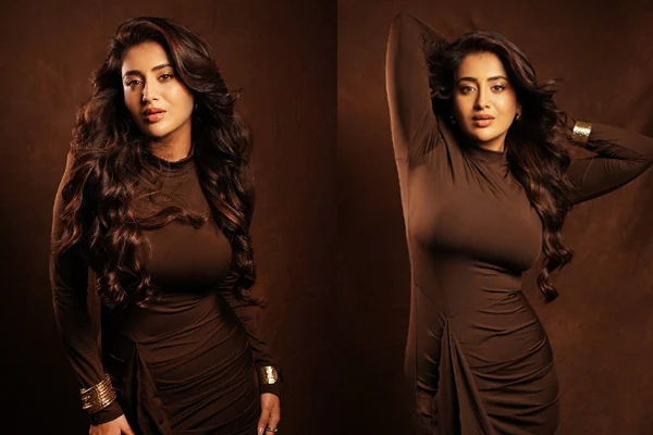 ఫోటోలు : రాశి సింగ్