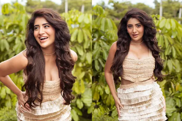 గ్లామరస్ ఫోటోలు : రాశి సింగ్