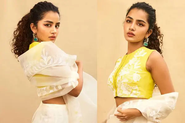 ఫోటోలు : బైసన్ బ్యూటీ అనుపమ పరమేశ్వరన్