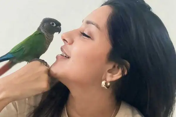 కొత్త ఫోటోలు : మహిమా నంబియార్