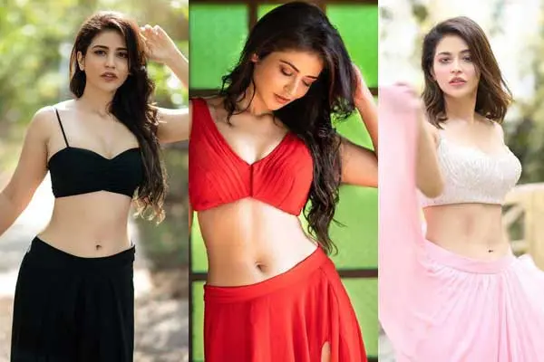 గ్లామరస్ పిక్స్ : ప్రియాంక జవాల్కర్