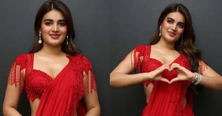 ఇబ్బంది పడ్డా సహనం కోల్పోని నిధి అగర్వాల్