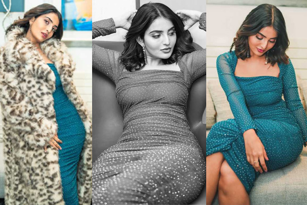 ఫోటోలు : అనన్య నాగళ్ల