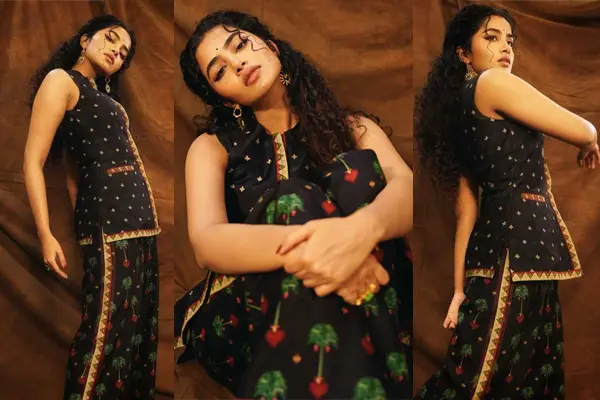 ఫోటోలు : అనుపమ పరమేశ్వరన్