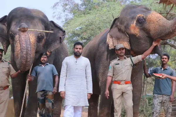 ఫోటోలు : వైజాగ్ ఇందిరా గాంధీ జూ పర్యటనలో జిరాఫీలను దత్తత తీసుకున్న డిప్యూటీ సీఎం పవన్ కళ్యాణ్