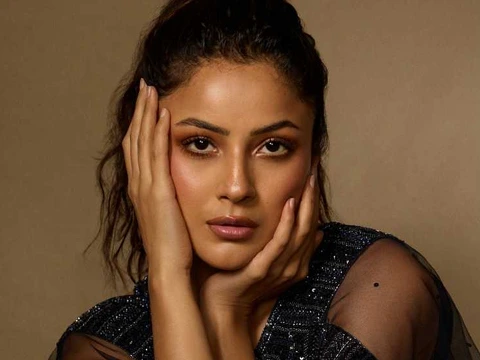 ఫోటోలు : షెహనాజ్ గిల్