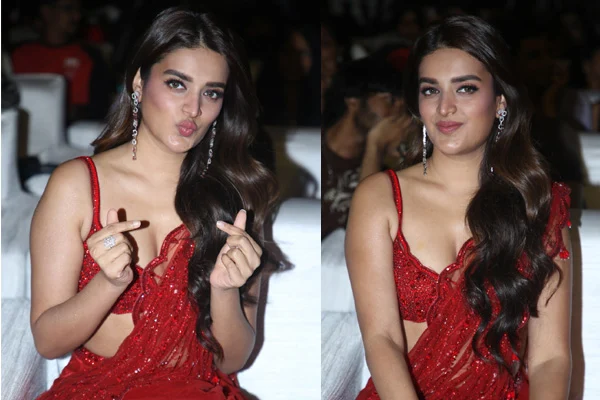 ఫోటోలు: నిధి అగర్వాల్